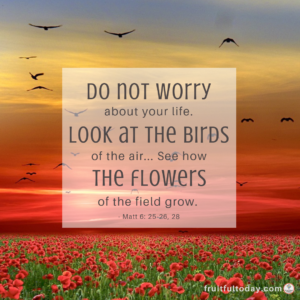 Do Not Worry